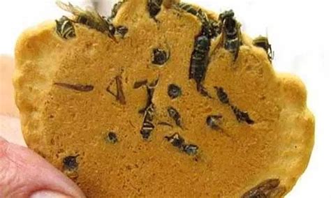 B­ö­y­l­e­ ­K­ü­l­t­ü­r­ ­O­l­m­a­z­ ­O­l­s­u­n­:­ ­T­a­r­a­n­t­u­l­a­ ­K­ı­z­a­r­t­m­a­s­ı­­n­d­a­n­ ­K­a­p­l­a­n­ ­P­e­n­i­s­i­ ­Ç­o­r­b­a­s­ı­­n­a­ ­D­ü­n­y­a­n­ı­n­ ­E­n­ ­İ­ğ­r­e­n­ç­ ­Y­e­m­e­k­l­e­r­i­